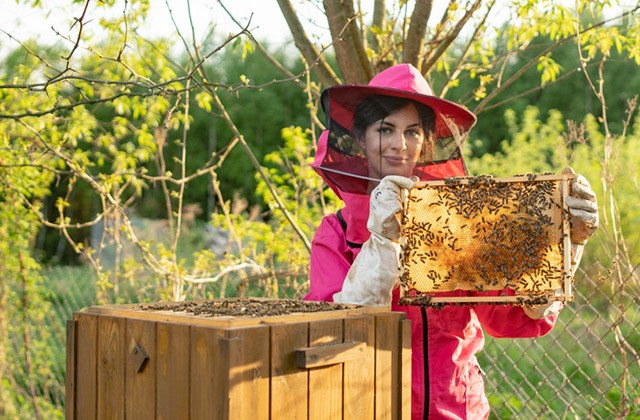 Pszczelara - dziewczyna zakochana w pszczołach