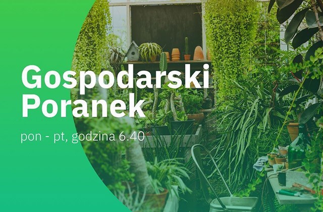 Pszczelara – gospodarki poranek 2
