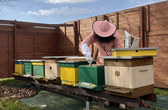 Pszczelara - reportaż o pasiece PODR