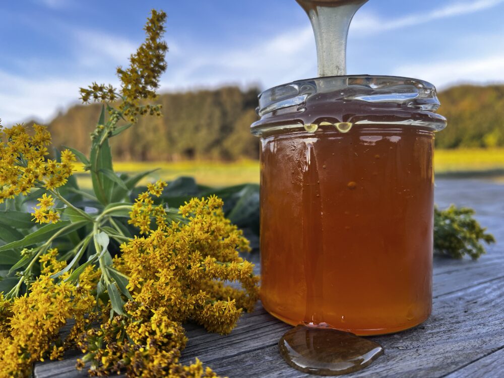 Miód nawłociowy